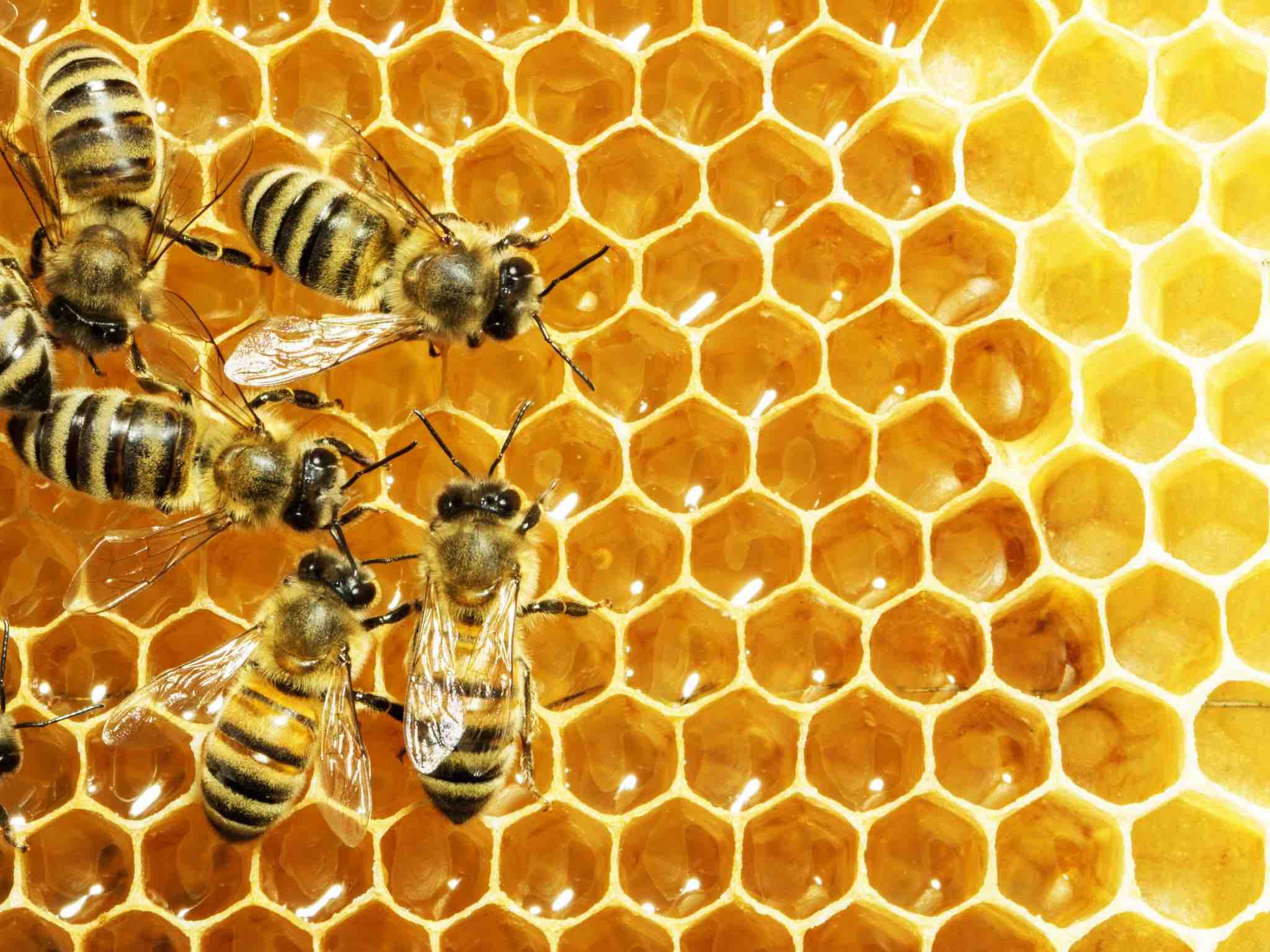 In Cascina Santa Brera febbraio è nella natura