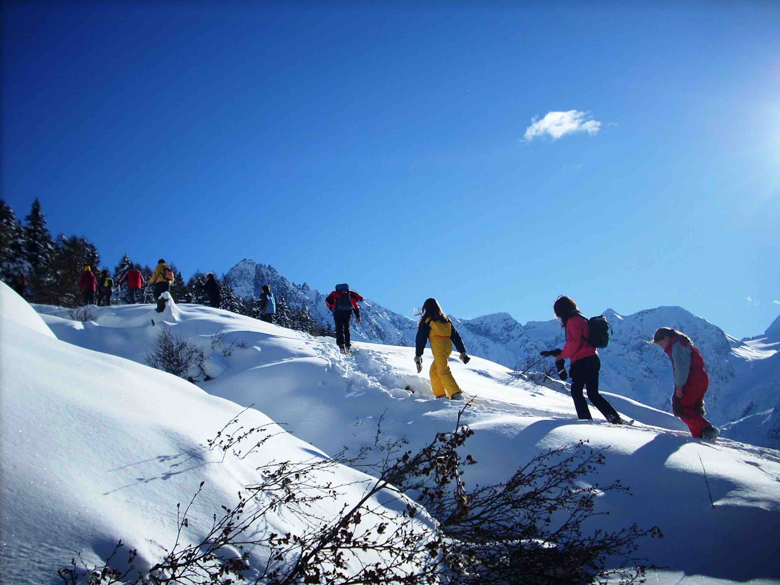 Parco dell’Adamello a febbraio: trekking su ciaspole in famiglia