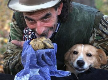 Raduno dei cani da tartufo: a Canale sfilano i trifulau