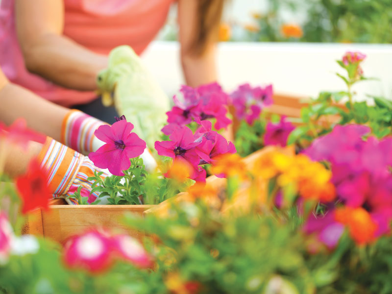 Come curare il giardino di famiglia