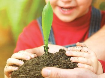 Idee di Economia Circolare per far crescere la Natura in casa