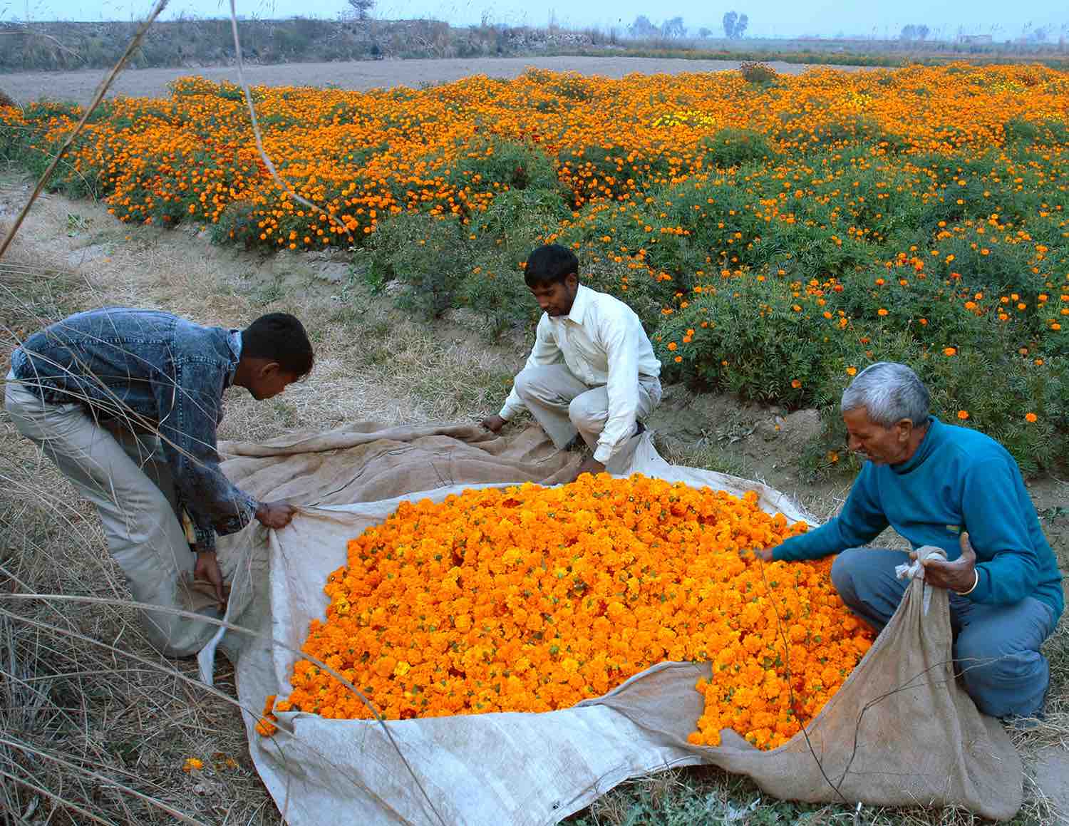 Con i bambini marzo al PAV parla di fiori e città