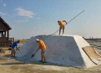 Salina Camillone e Museo del sale – Cervia (RA)