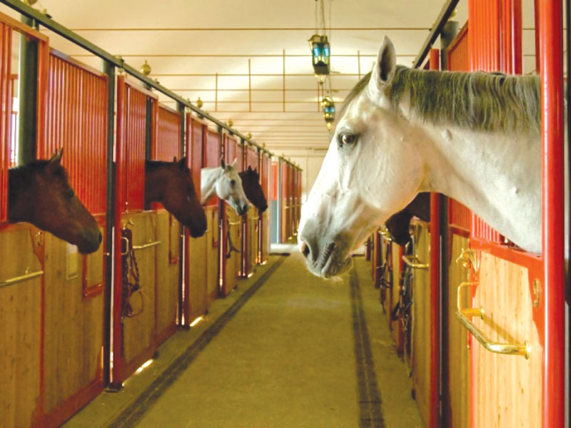 Una giornata a cavallo in Lombardia