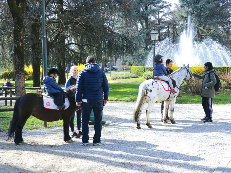 Una Giornata A Cavallo In Lombardia Con Tutta La Famiglia