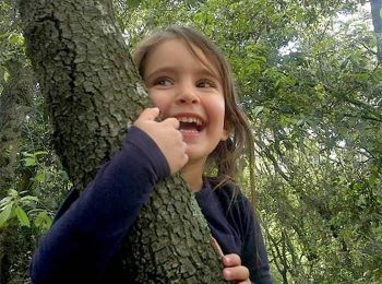 Aprire un asilo nel bosco. Come, dove e perché spiegato in un seminario