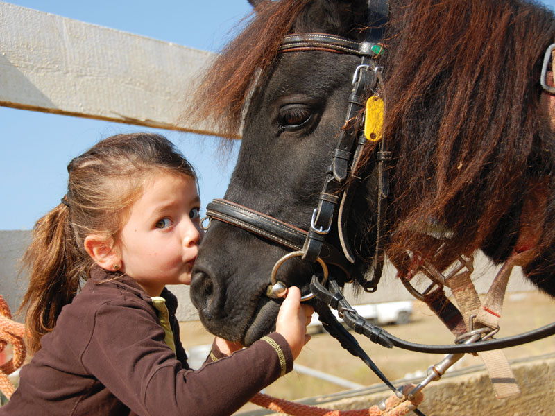 Il Battesimo di una bimba tra gli animali bosco