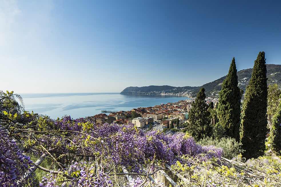 Glicini in fiore a Villa della Pergola ad aprile