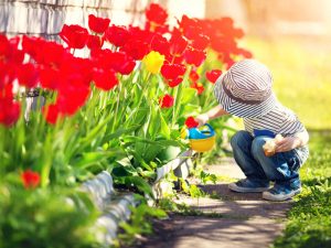 I bambini devono giocare in giardino