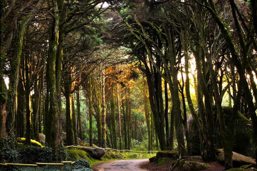 Viaggio a Lisbona con i bambini Sintra