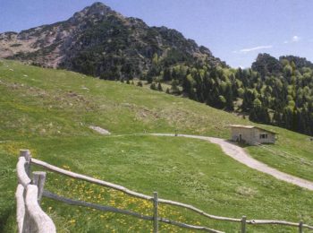 Campi estivi ambientali in baita Monte Pra’