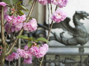 Cosa fare a maggio al MAO di Torino