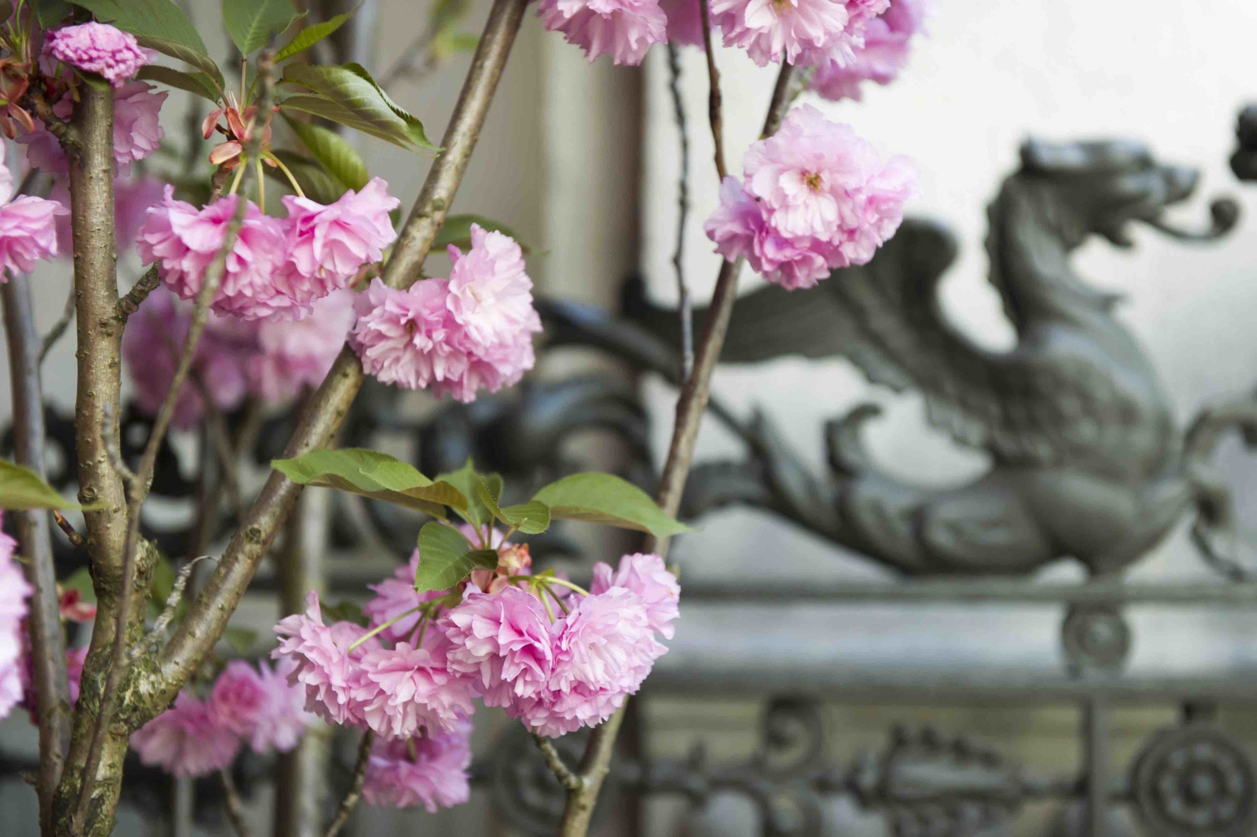 Cosa fare a maggio al MAO di Torino