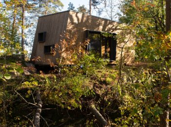 Dalla Norvegia i nuovi ospedali in mezzo al bosco