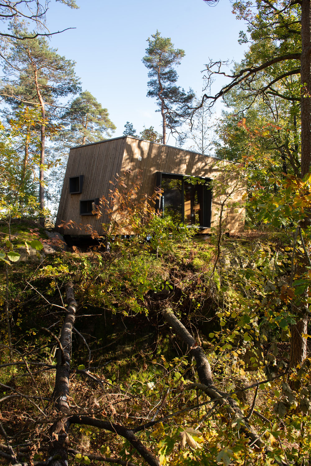 Dalla Norvegia i nuovi ospedali in mezzo al bosco