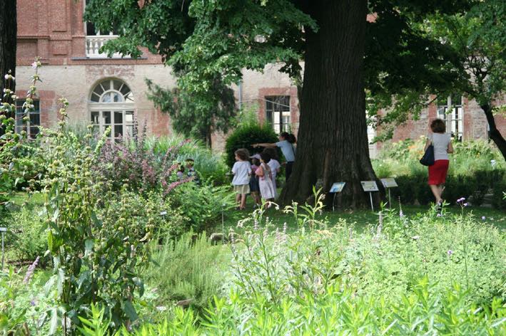 GG giugno in orto botanico di torino1