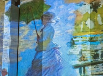 Monet e i suoi capolavori, l’esperienza immersiva definitiva alla Palazzina di Caccia di Stupinigi