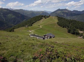 Oasi Zegna in giugno è giornata in alpeggio