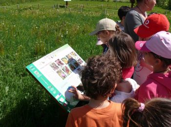 Parchi delle Alpi Cozie a giugno: che la festa abbia inizio!