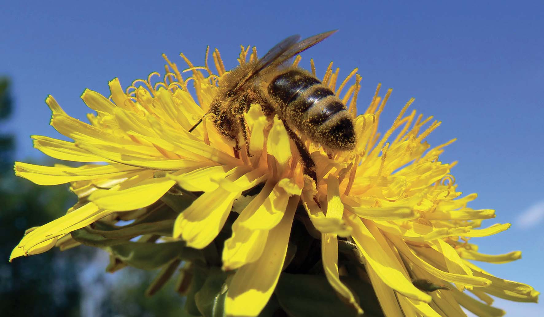 In Cascina Santa Brera giugno è avventura nella natura