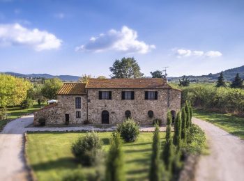 Tenuta Il Cicalino: un soggiorno autentico nel cuore della Maremma