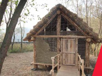 Il bosco abitato
