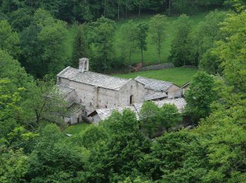 Parchi delle Alpi Cozie a luglio e agosto