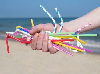 #secchiellostop: raccogli plastica, non conchiglie