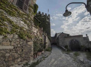 Cantine Aperte in Vendemmia 2019