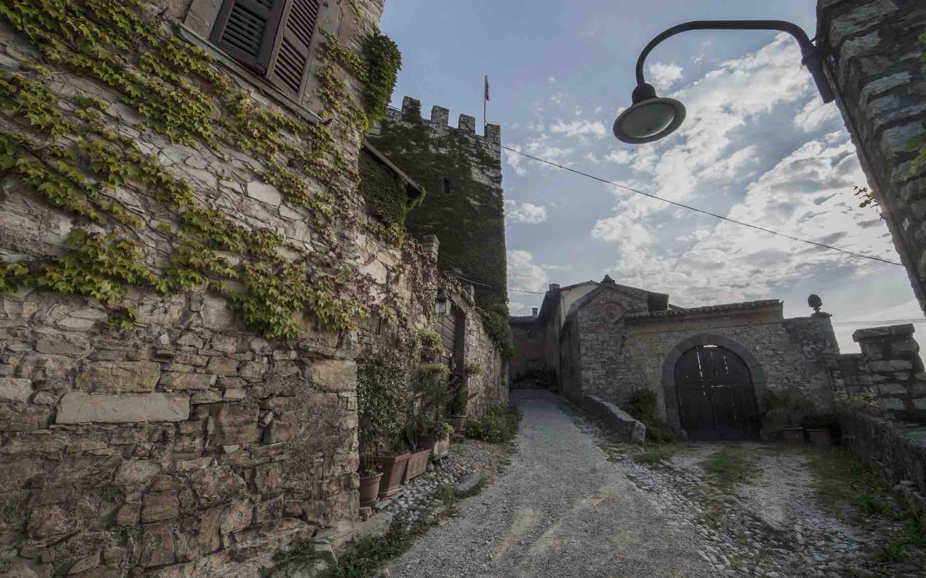 Cantine Aperte in Vendemmia 2019