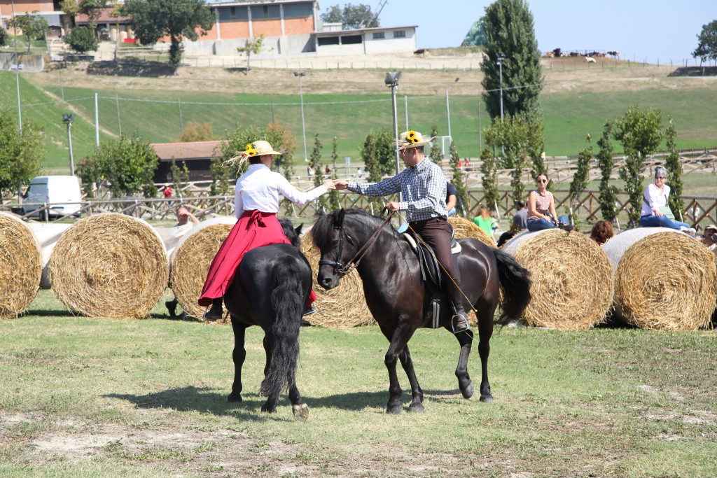 Rural Festival Rivalta 20192