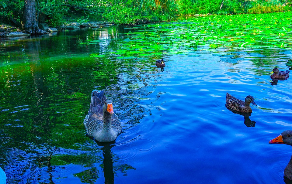 In gita al lago Segrino