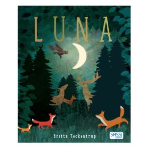 Libri sulla Luna