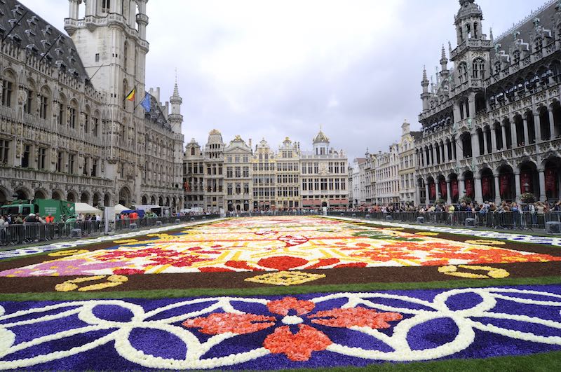 Flower Carpet