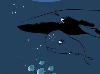 La balenottera Mar
