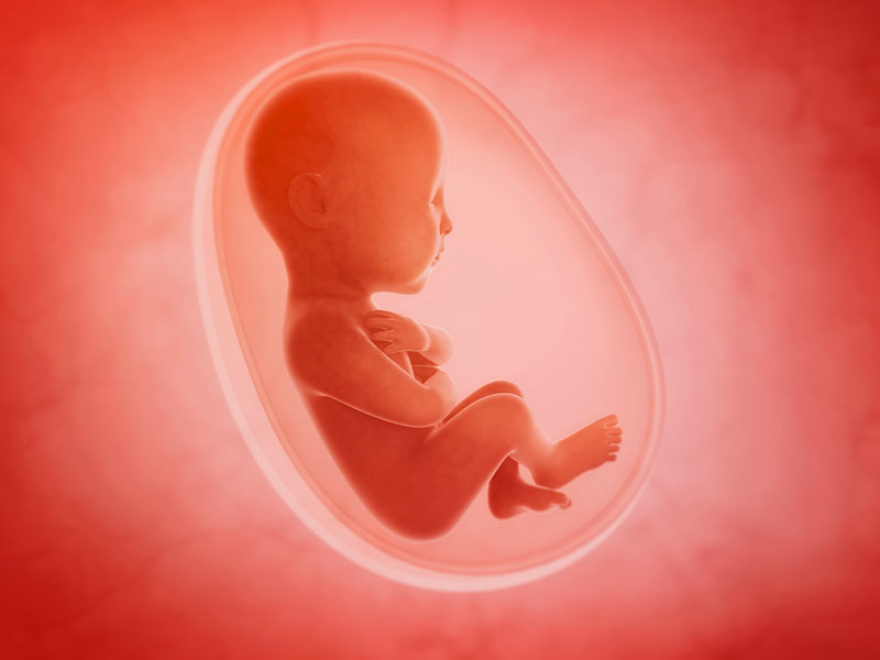 Rivivere la notte uterina: la proposta delle ostetriche