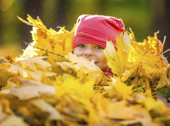 Autunno: come sopravvivere al calo di energie