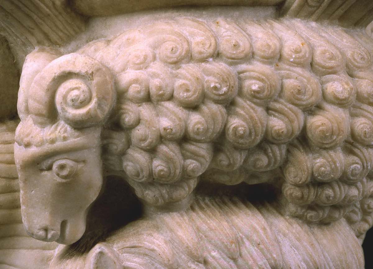 A novembre Palazzo Madama di Torino: tutti gli eventi