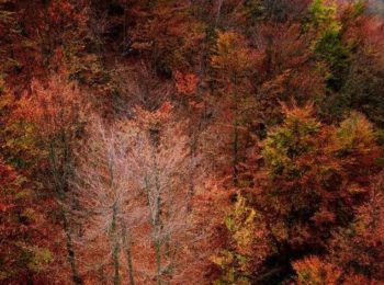 Oasi Zegna in novembre, immersi nella natura