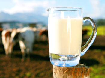 Latte vaccino italiano: una filiera sempre più controllata