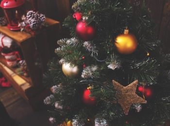 Iniziative da non perdere in Scuola Holden a dicembre