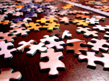 Tutti pazzi per i puzzle