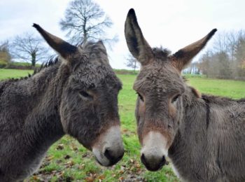 In Cascina Santa Brera gennaio è avventura nella natura