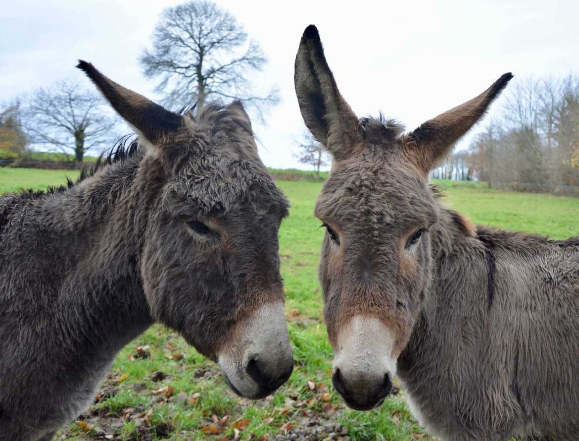 In Cascina Santa Brera gennaio è avventura nella natura