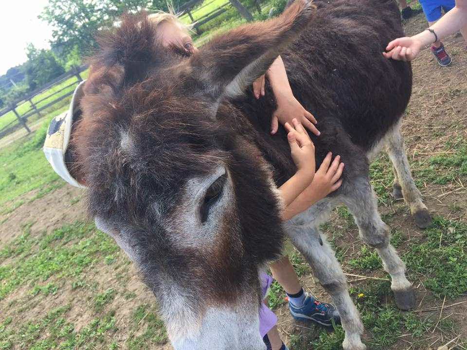 Gennaio family a La Bellotta, la cascina per tutti