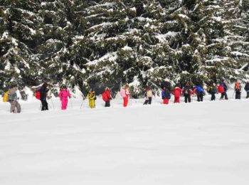 Escursioni per tutti al Parco Nazionale Gran Paradiso a gennaio