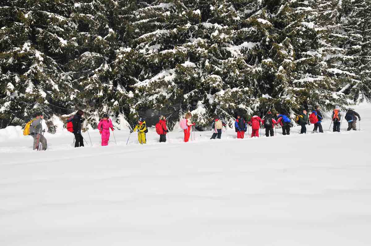 GG parco nazionale gran paradiso a gennaio