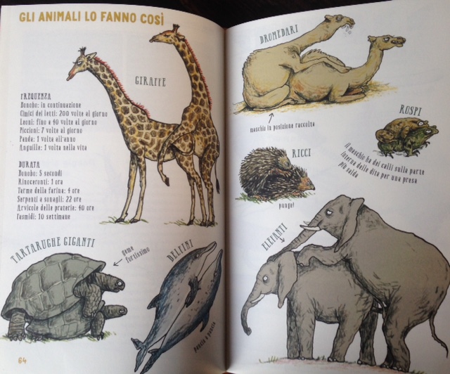 I libri per conoscere gli animali - GG Giovani Genitori