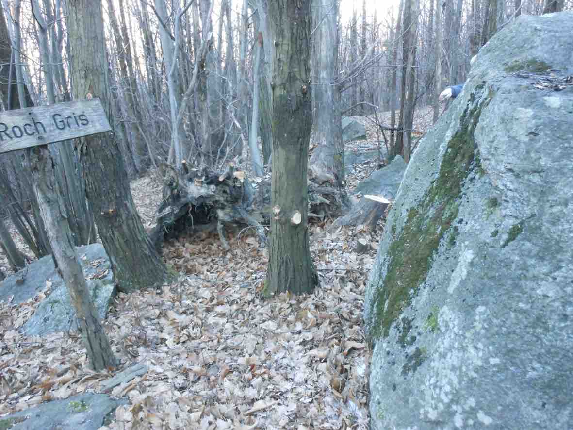 La parola selvatica e il geopoeta