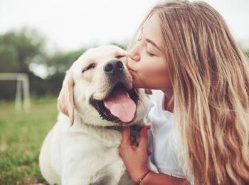 Dog Therapy alla Casa del Teatro